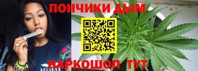 индика Чебаркуль