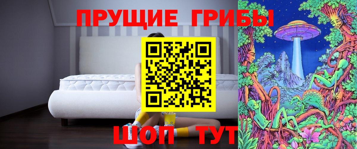 Псилоцибиновые грибы Psilocybe Дагестанские Огни