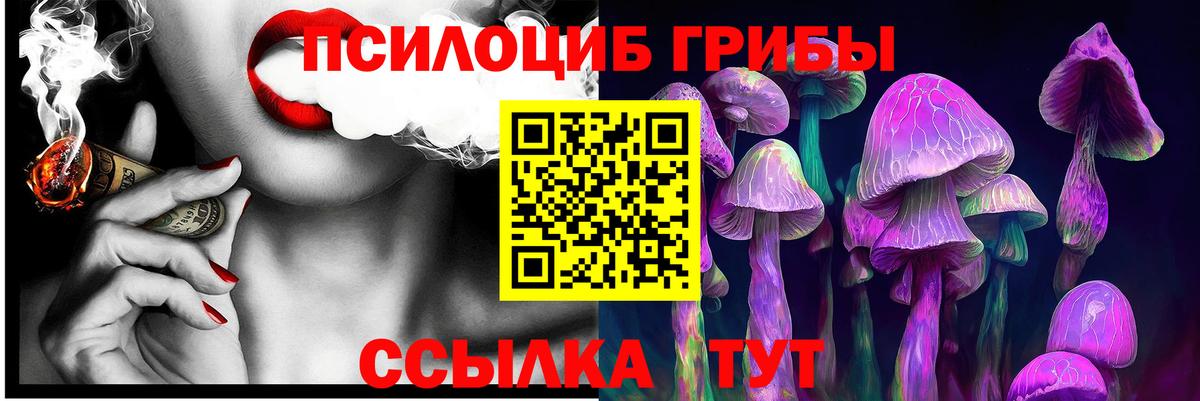 Дагестанские Огни  Галлюциногенные грибы ЛСД  Вход с VPN 